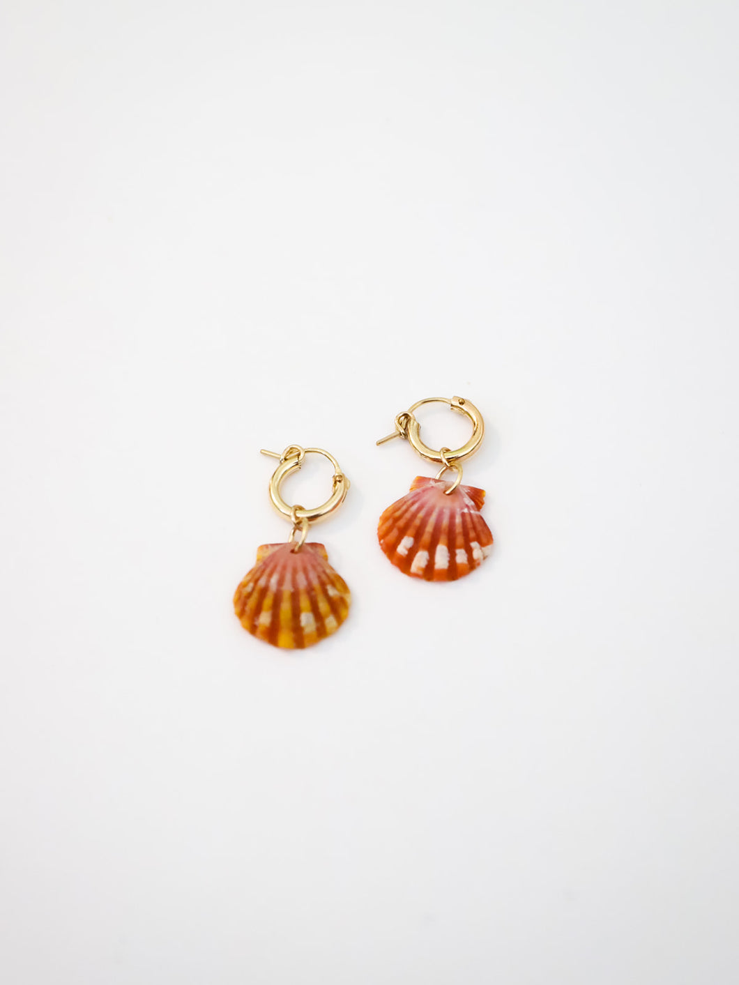 Sunrise shell Earrings