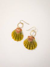 Load image into Gallery viewer, Sunrise shell Earrings
